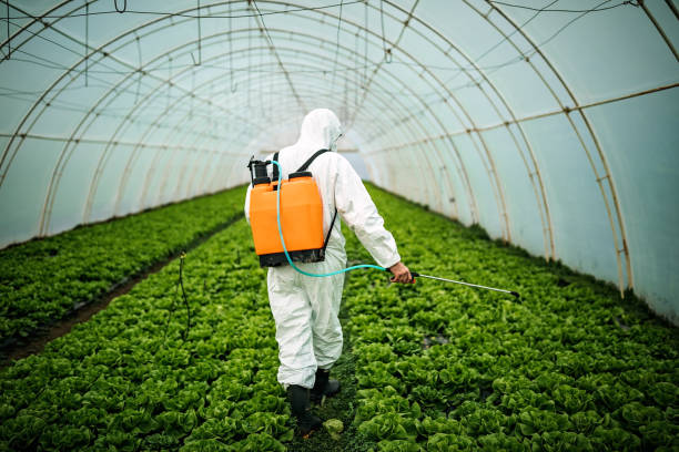 Best Pest Inspection Near Me  in Dellwood, MN