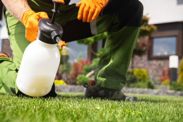 Best Wasp Removal Services  in Dellwood, MN