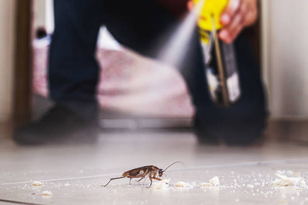 Best Local Pest Control Services  in Dellwood, MN